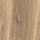 Tawny Oak