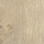 Almond Oak